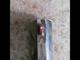 Продам автомат ATA arms NEO 12/76